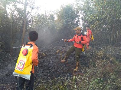 BNPB Siapkan Antisipasi Kebakaran Hutan Menjelang Asian Games