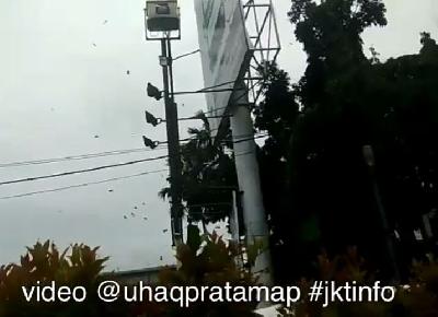 Hujan Duit di Kuningan, Ratusan Orang Heboh Berebutan