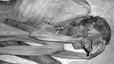 Ini Tato Tertua di Dunia, Simbol Kejantanan Pria