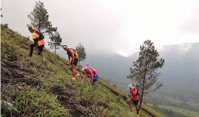Kebakaran Gunung Guntur, Garut, Berhasil Dipadamkan