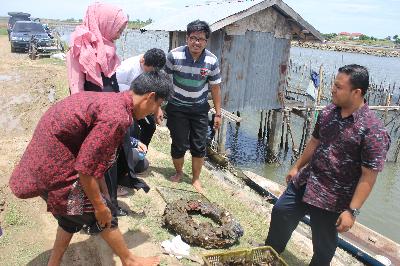 Efektif dan Efisien dengan Teknologi Rumoh Tiram