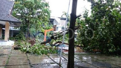 BMKG Minta Warga Yogyakarta Waspadai Puting Beliung Susulan