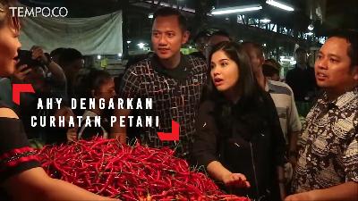 AHY Kunjungi Pasar, Dengarkan Curhatan Petani