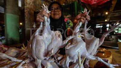 Sepekan Ramadan, Harga Daging Ayam Meroket