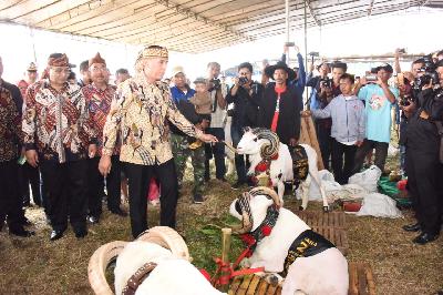 Kontes Ternak, Upaya Jabar Tingkatkan Kualitas Produk Petern akan