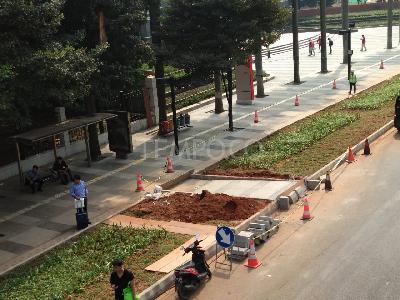 Begini Manajer WIKA Jawab Viral Humor Halte dan Trotoar Rumput