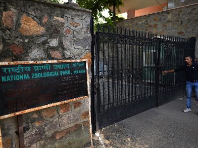 Kebun Binatang India Buat Kandang untuk Manusia, untuk Apa?