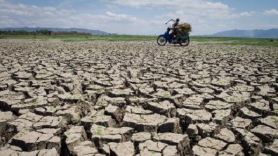 Kemarau Panjang dan Kekeringan Timpa Sejumlah Daerah di Indonesia
