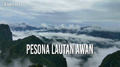 Lautan Awan di Zhangjiajie Cina Ini Mempesona Wisatawan Indonesia