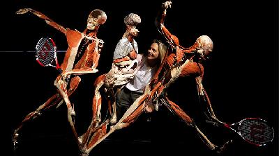 Melihat Rumitnya Anatomi Tubuh Manusia di Museum Body Worlds