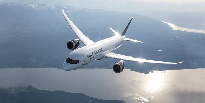 Air Canada Suspends Flights After Cabin Staff Go on Strike