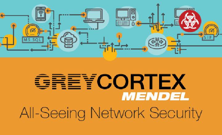 Analisis Lalu Lintas Jaringan GreyCortex, Mata Digital yang Melihat Segalanya