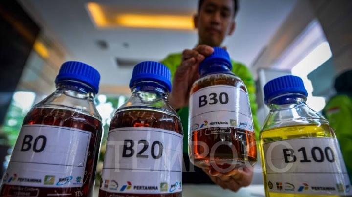 Indonesia Confident in Biodiesel Export Growth After WTO Win over EU