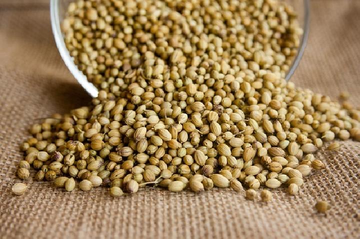 7 Health Benefits of Coriander: Lowering Blood Sugar and More