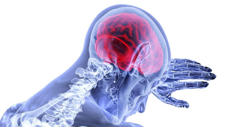 Five Deadly Brain Diseases You Should Know