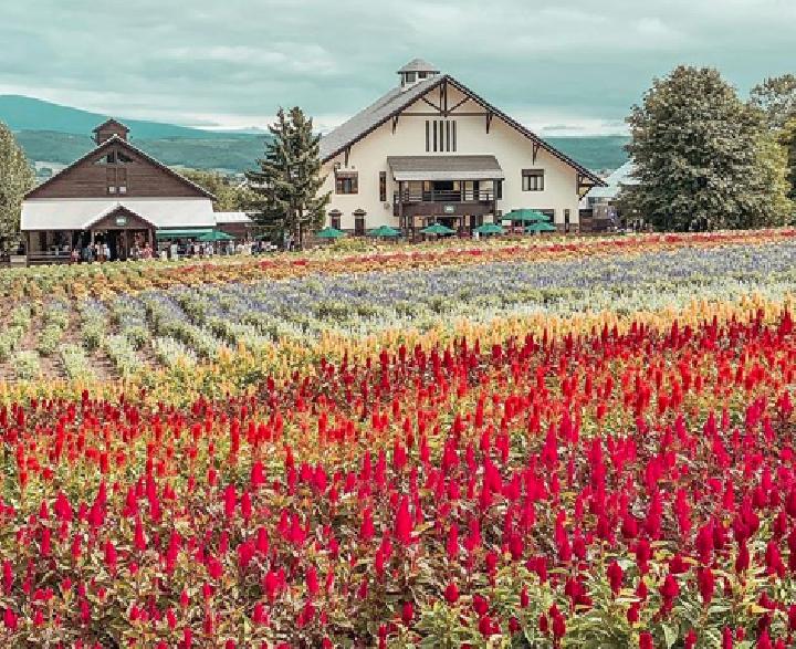 10 Most Beautiful Fall Destinations Around the World