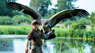 Big Condor Trains in Bindslev, Denmark