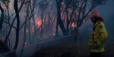 Fires Ring Australia's Sydney, Blanketing City in Thick Smoke