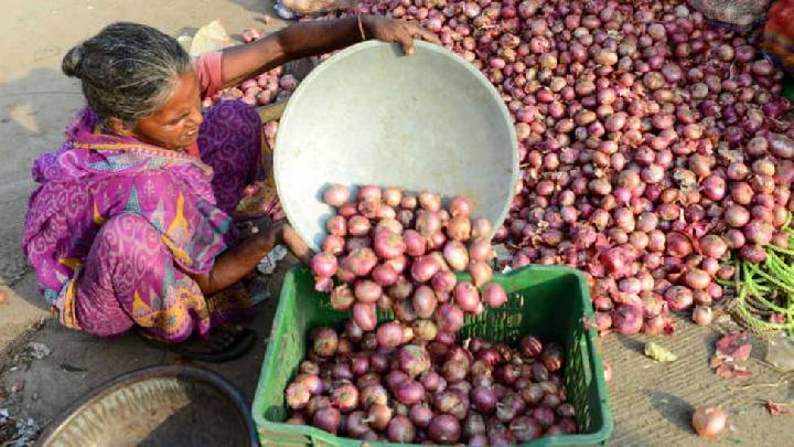 Suspicion Over Onion Import Approval: No Record of Official Mandate