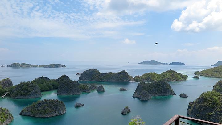 Nickel Mining Dispute in Raja Ampat Affect Tourism Sector, Wayag Island Access Closed