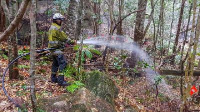 Australia's Bushfire-stricken East Welcomes Drenching Rain