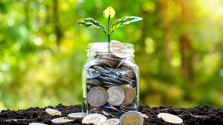 Indonesia's 5 Biggest Source Countries for Investment in First Half of 2025