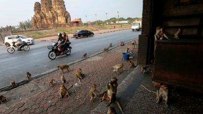 Thailand to Close Malls as Coronavirus Cases Jump