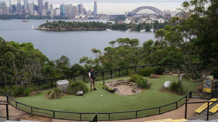 No Visitors At Australian Zoo But Training Keep To Schedule - Foto  En.tempo.co