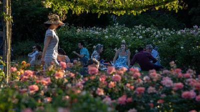 National Trust Minta Boris Johnson Bangun Taman Rp 100 Triliun