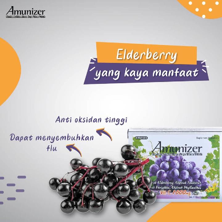 Eldeberry, Buah Mungil Penjaga Daya Tahan Tubuh