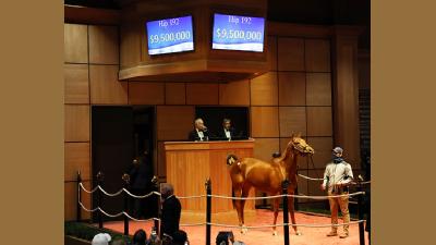 Berita Terbaru Pacuan Kuda Tempo Co