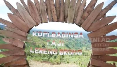 Seorang Babinsa Jadi Pelopor Budi Daya dan Wisata Kopi Gunung Bromo