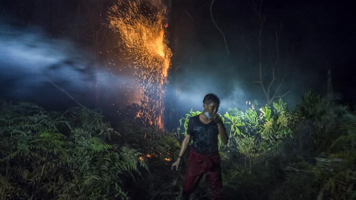 Police Arrest 2 Suspects in Riau Wildfires