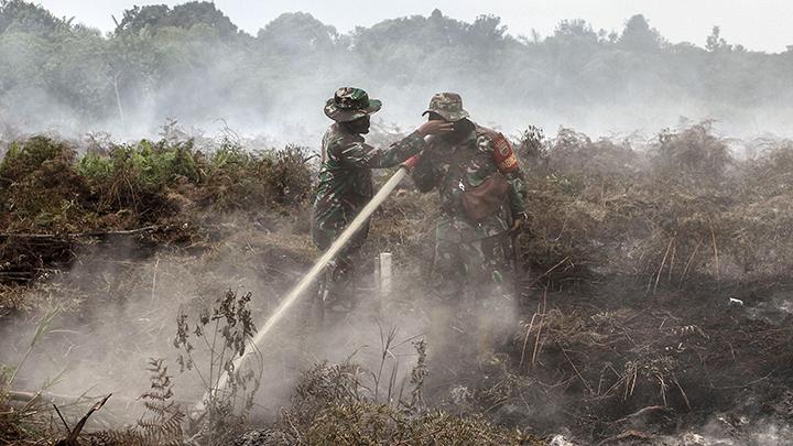 Forestry Ministry Identified Rokan Hilir as Main Source of Wildfire Hotspots in Riau