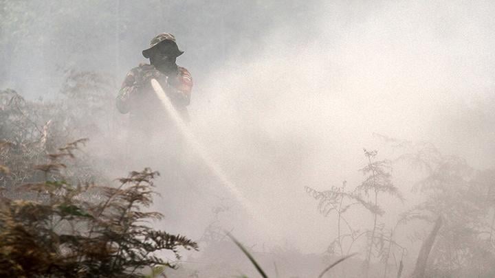 Riau Wildfire Handling: Ministry Seals Palm Oil Plantations, BMKG Runs Weather Modification