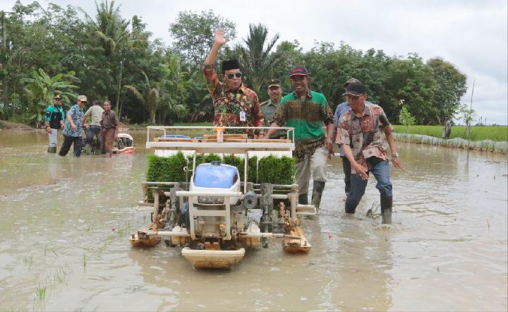 Kalsel Surplus Beras Sejak 2016
