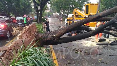 Seasonal Transition Period; BMKG Warns of Extreme Weather