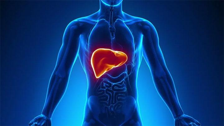 How to Take Care of Liver Health