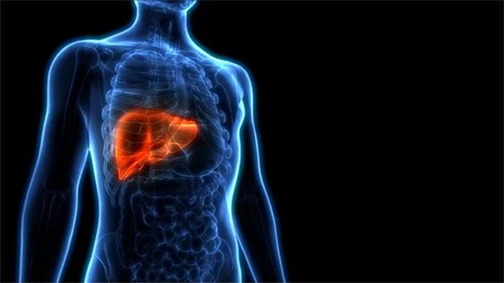 Maintaining Liver Health: 5 Tips to Protect Your Vital Organ