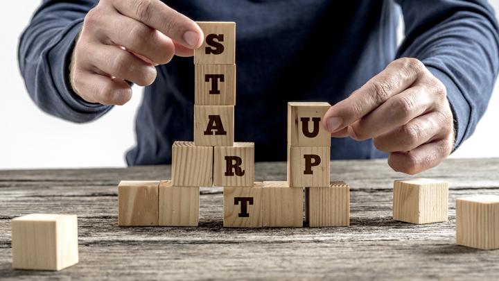 Startup Business Fraud