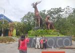 Taman Rusa Sekupang Batam (TEMPO/Yogi Eka Sahputra)