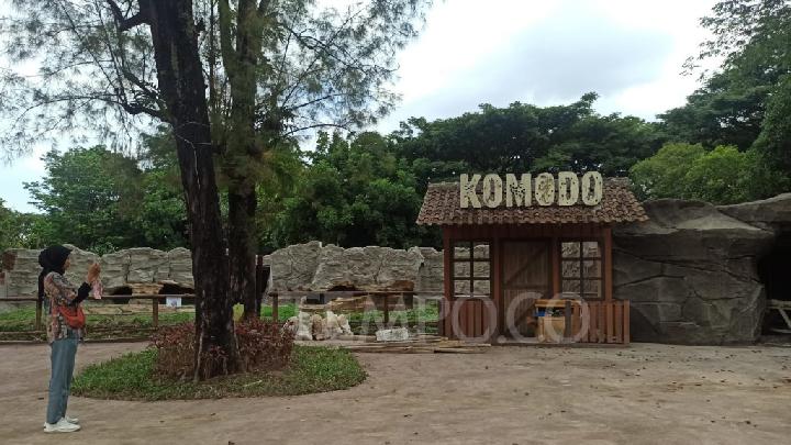 The Specter of the Destruction of Komodo