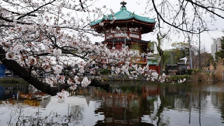 7 Cities with the Most Green Spaces: Singapore Ranks High