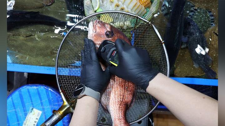 Risks of Consuming Food Contaminated with Radioactive Substances