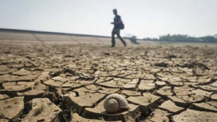 10 Countries Most Affected by Climate Change: Chad, Congo, and More