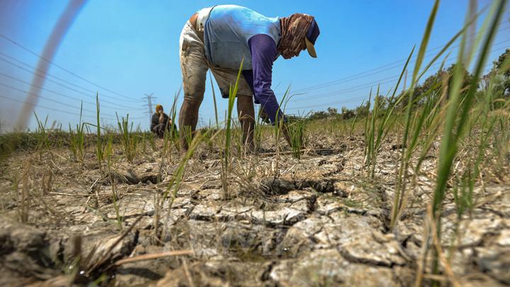 BMKG: Some Parts of Indonesia to Enter Dry Season in October