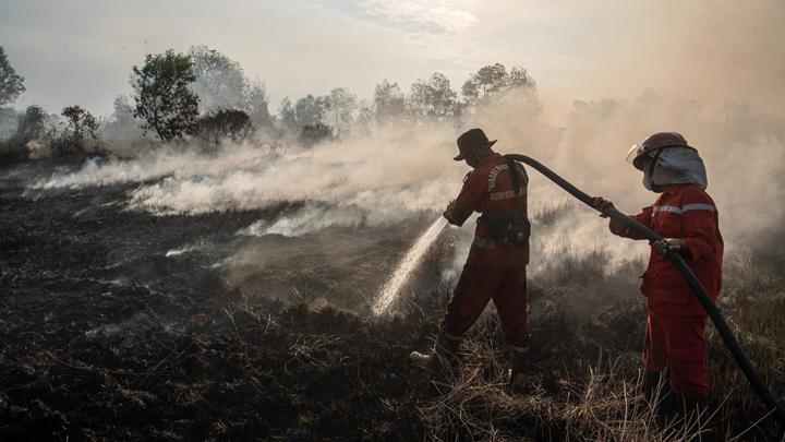 South Sumatra Records 1,137 Hotspots, Highest Count of 2025 in July