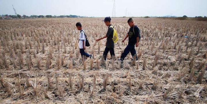 Weather Anomaly in 2025 Dry Season Baffles Indonesian Researchers