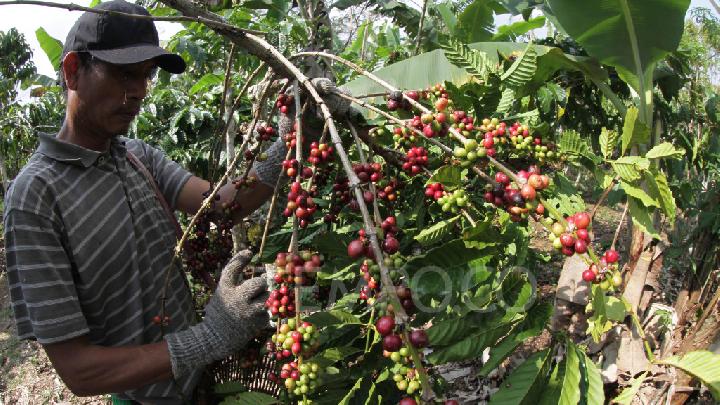 Indonesian Agriculture Ministry's Budget Boosted to Rp40 Trillion by 2026