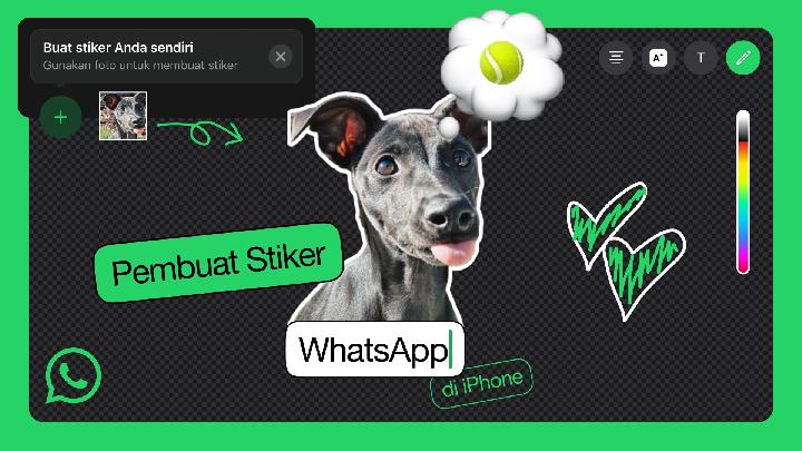 How to Make Animated WhatsApp Stickers from Videos